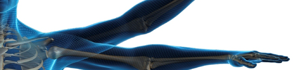 Orthopedic Biomaterials Online Course & Certificate