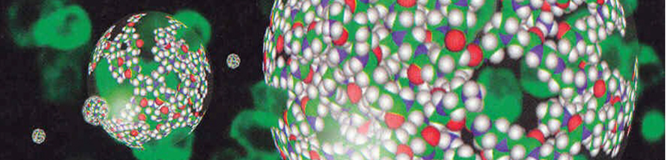 Biomaterials Certificate Program